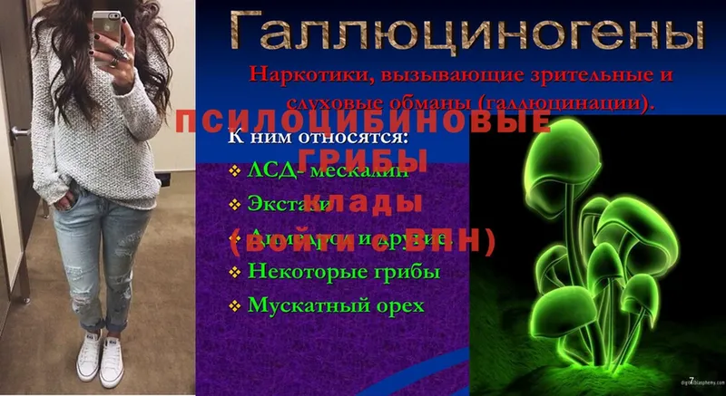 Галлюциногенные грибы GOLDEN TEACHER  Стародуб 